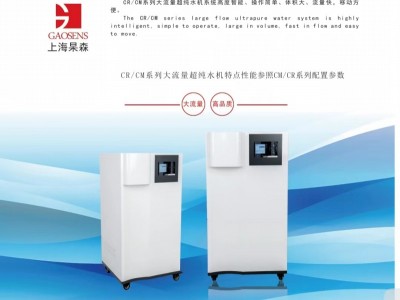 上海杲森CR大流量超纯水机，科研实验室超纯水制备，医学超纯水
